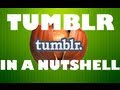 TUMBLR IN A NUTSHELL 