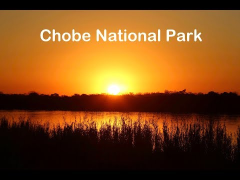 Botswana Overland Trip - Episode 4 - Chobe