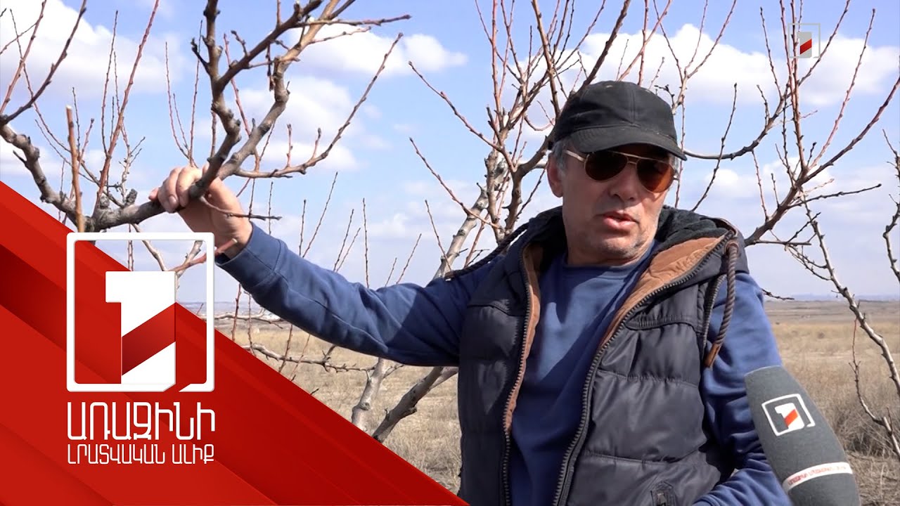 45 տարվա կուրությունից հետո բժիշկների օգնությամբ աչքի լույսը վերագտած այգեգործը