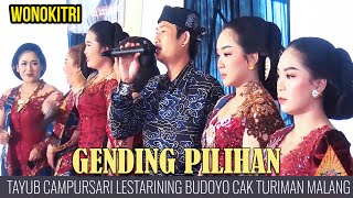 Download lagu Tayub Campursari Lestarining Budoyo Cak Turiman Malang! Gending Pilihan Full Album mp3