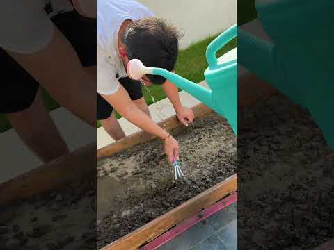 هاي كايززز 🫶🏻😍 #اكسبلور #مرمر