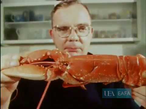 The Singing Postman 'I Can't Get a Nice Loaf of Bread' (1967 promo video)