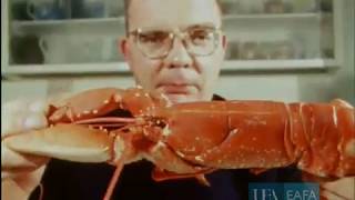 The Singing Postman 'I Can't Get a Nice Loaf of Bread' (1967 promo video)