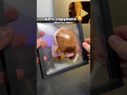 Capybara evolution 🤣