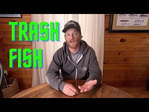 TRASH FISH?
