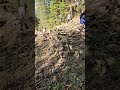 This Community Did The Unthinkable Teamwork Relaxing Ecochallenge