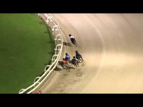 2017 SERVOCA BRITISH BRED DERBY - 2ND SEMI - T3 KING ELVIS