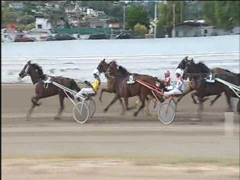 Trotto 21/05/2017 - 5ª corsa