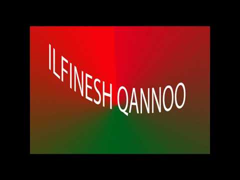 Geeraarsa by Ilfinesh Qannoo