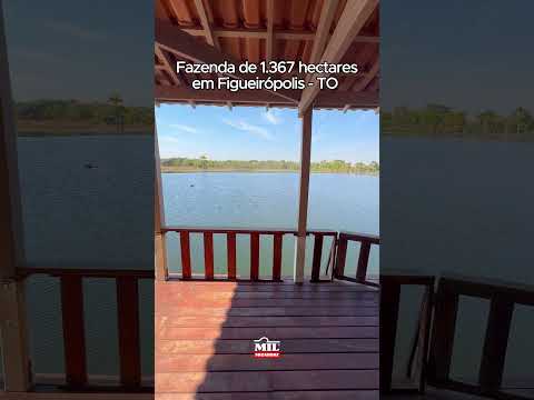 Fazenda de 1.367 hectares em Figueirópolis - TO #fazendaavenda #fazenda #agro