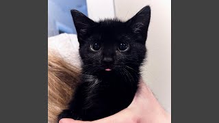 Download lagu nostalgia.mp3 mp3