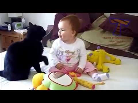 Cute cats cuddling and playing with babies   Cat  u0026 baby compilation
