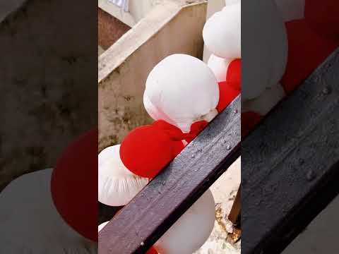 Приносят ли воздушные шары радость? #zerowaste #осознанность #воздушныешары #экология