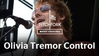 Olivia Tremor Control's Full Set at Pitchfork Music Festival 2012