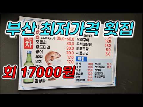 부산최저가격의 횟집 남포동 술집특집 부평동 회포차 광복동 고갈비골목 남마담 광안리해운대 영상 썸네일