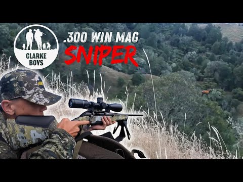 FIRST STAG NEW RIFLE! .300 Win Mag vs Red Stag.
