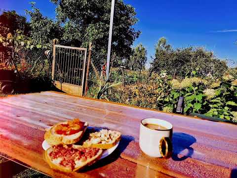 barthazz - wszystko co mam prod. Marc D , cuty: DJ Twister