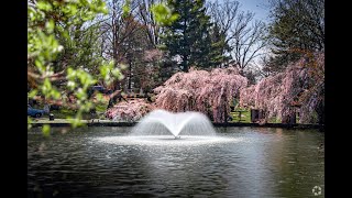 Living in Georgetown, KY: The Ultimate Local Guide | Homes.com