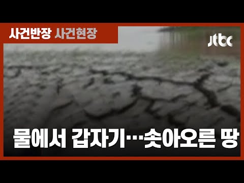 아이콘
