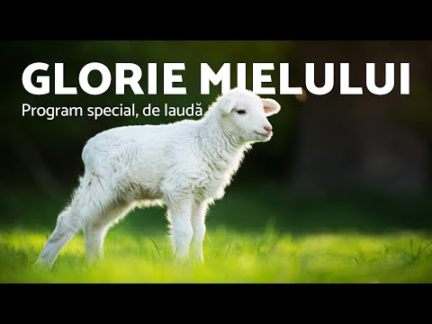 Glorie Mielului - Program special, de laudă - AZSMR-Bucov LIVE