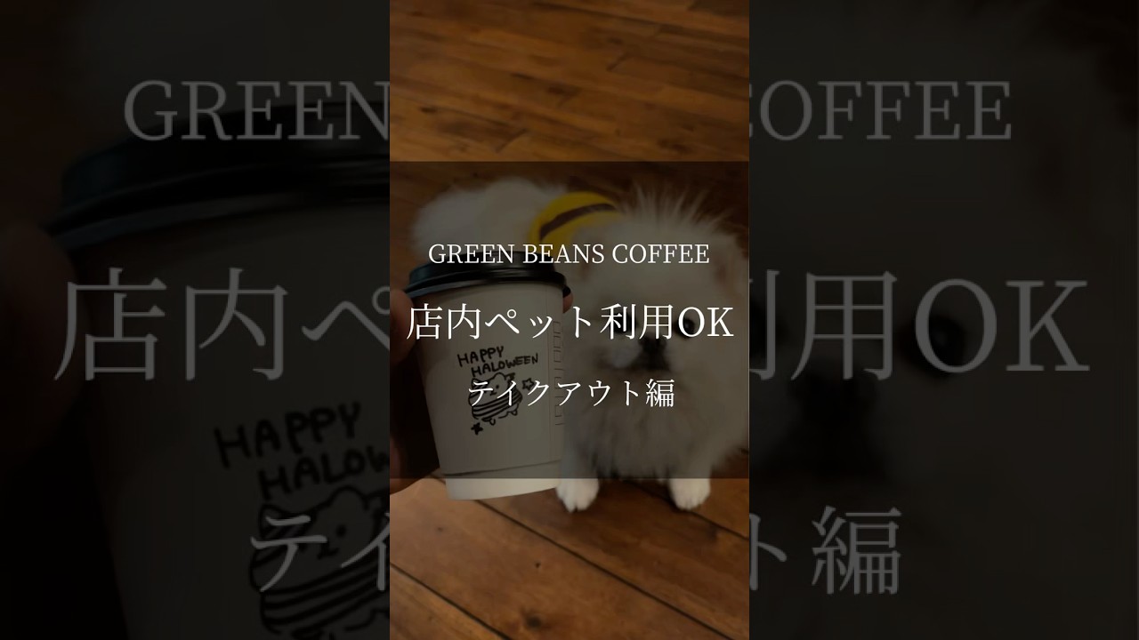 お散歩コース動画2