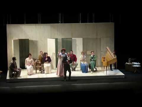 CONVENIENZE E INCONVENIENZE TEATRALI-Donizetti-cavatina Agata_lazzarune,scauzacane!-Matteo D'Apolito