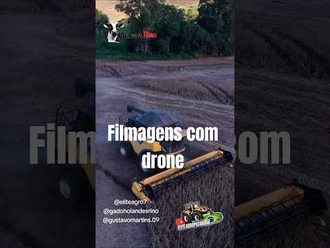 CR na colheita do soja #Carambei Pr 🔝💯💪 #eliteagropecuaria #automobile #agro #agronomia
