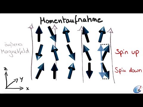 Grundlagen des MRT: Kernspin und Präzession