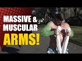 Kettlebell Arm Burnout! [Build Muscular & Vascular Arms!] | Chandler Marchman