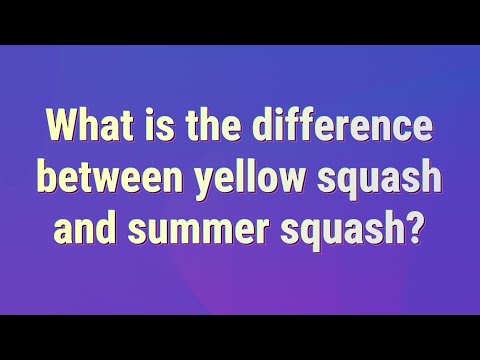 , title : 'What is the difference between yellow squash and summer squash?'