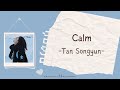 Tan Songyun 谭松韵 Calm 安 PINYIN INDO