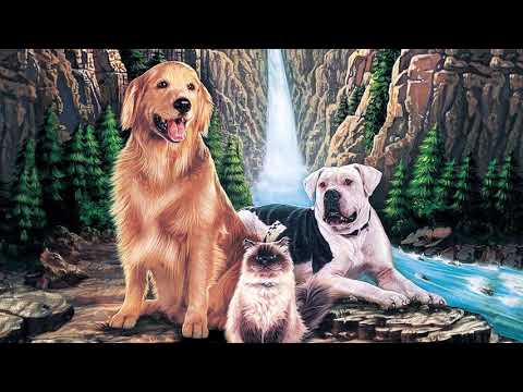 Homeward Bound Soundtrack - Homeward Bound Complete Theme