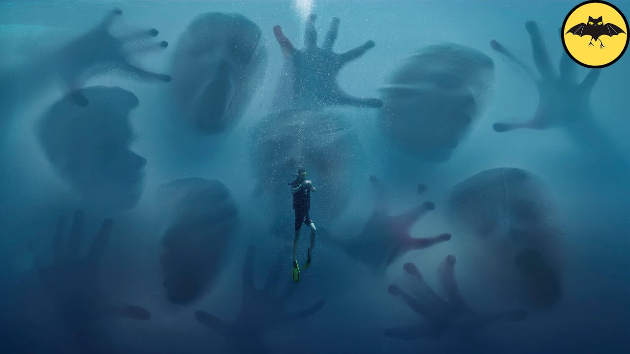 Incontournable Les TréSors De La Mer MystéRieuse Tendance Astuces santé