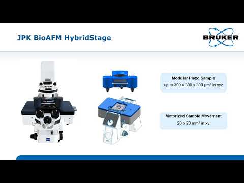 The JPK BioAFM HybridStage: The versatile solution for challenging biological samples