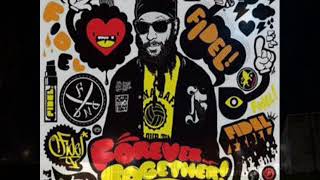 Fidel Nadal    Picadura de avispa  2010