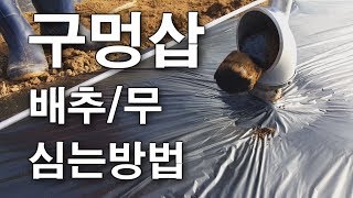 [구멍 뚫는 구멍삽] 배추 무우 심는 방법