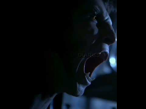 Omega, Beta, Alpha Roar #derekhale #scottmccall #deucalion | MUPP x Sadfriendd - vendetta! #edit