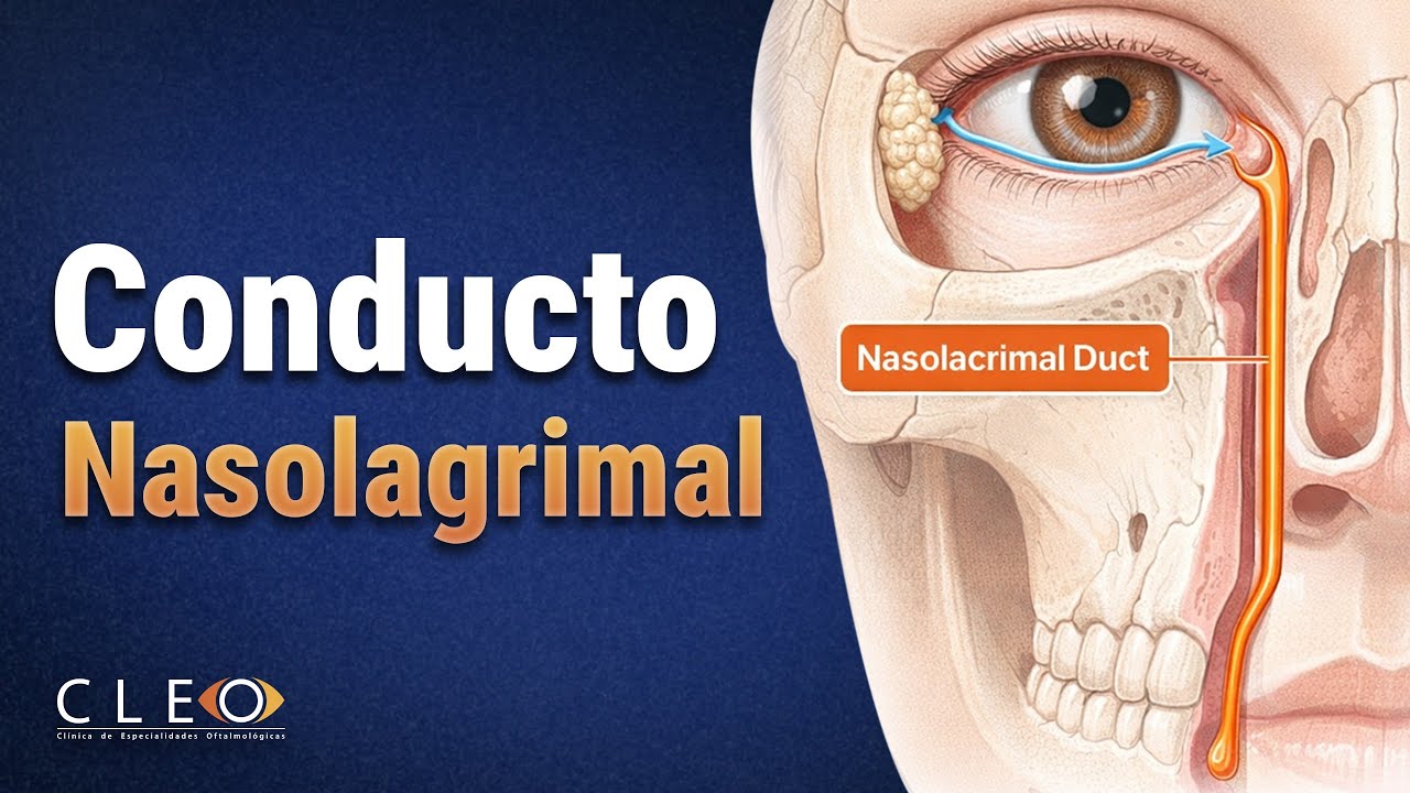 Ana Luisa Solorio López-10