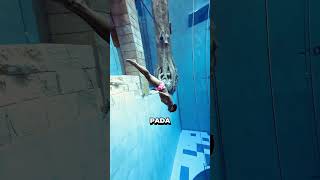 Download lagu KOLAM INI TERLALU MENYERAMKAN‼️ #aksi #unik #fakta #berenang #renang #kolam #kolamrenang #menyelam mp3