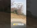 Yae Kia How Raha Ha Road Pae Pakistan Leaked Videos Pakistani Funny Videos Vella Vlogs Punjab