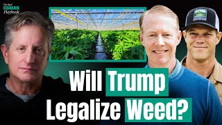 Inside the Cannabis Comeback: How One Company is Beating a Broken Market | The Real Eisman Playbook