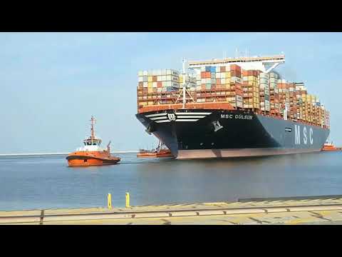 Docking world's Largest Container Vessel | mariner's Vlog