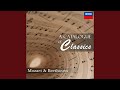 Mozart: Symphony No. 40 In G Minor, K.550: 3. Menuetto (Allegretto)