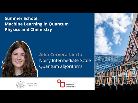 Alba Cervera-Lierta "Noisy Intermediate-Scale Quantum algorithms"