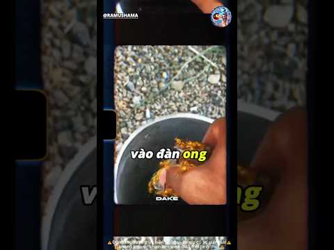 Khi cao thủ ra tay xử lý tổ ong 🧐