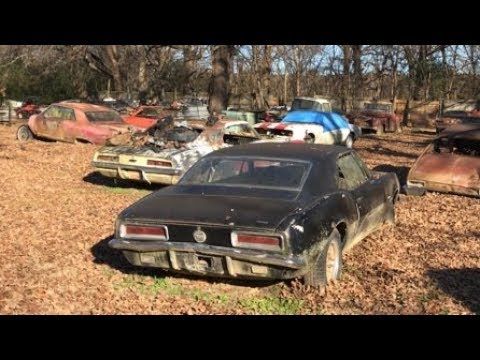 FIELD OF DREAMS!!! NEGLECTED AND ABANDONED JUNKYARD FULL OF 1ST GEN CAMAROS AND MUSCLE CARS