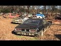 FIELD OF DREAMS NEGLECTED AND ABANDON