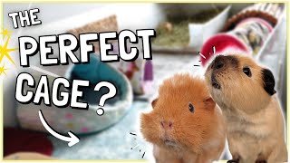 How to Set up the Perfect Guinea Pig Cage!