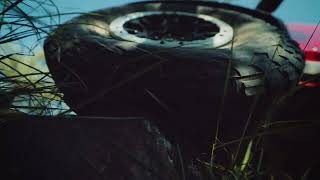 Ver Video