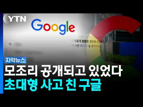 구글, 그저 '사람의 실수' 해명...정부 "무거운 책임 부과될 것" [자막뉴스] / YTN